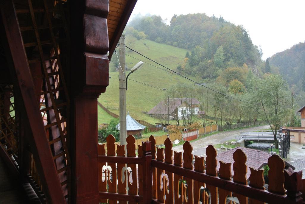 Pensiune Restaurant Piatra Craiului Dimbovicioara Exterior photo